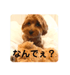 ラキスタンプ2023ver.（個別スタンプ：5）