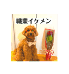 ラキスタンプ2023ver.（個別スタンプ：6）