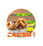 ラキスタンプ2023ver.（個別スタンプ：9）