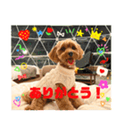 ラキスタンプ2023ver.（個別スタンプ：11）