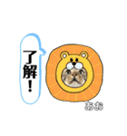 トラ猫のあおちゃんスタンプ（個別スタンプ：2）