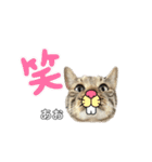 トラ猫のあおちゃんスタンプ（個別スタンプ：7）