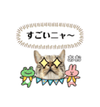 トラ猫のあおちゃんスタンプ（個別スタンプ：16）