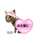 トラ猫のあおちゃんスタンプ（個別スタンプ：28）