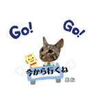 トラ猫のあおちゃんスタンプ（個別スタンプ：30）