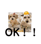 redと少しyou moco（個別スタンプ：13）
