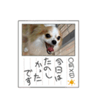 redと少しyou moco（個別スタンプ：30）