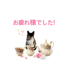 猫メメちゃんのスタンプ（個別スタンプ：20）