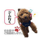 といぷーのはぴ（個別スタンプ：5）