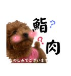 といぷーのはぴ（個別スタンプ：6）