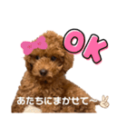 といぷーのはぴ（個別スタンプ：13）
