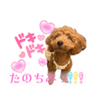といぷーのはぴ（個別スタンプ：15）