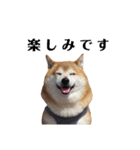 柴犬ごん太の敬語スタンプ（個別スタンプ：18）