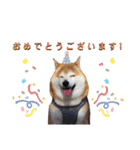 柴犬ごん太の敬語スタンプ（個別スタンプ：32）
