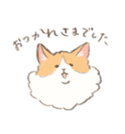 サイベリアンのしゅみちゃん（個別スタンプ：20）