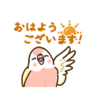 アキクサインコLINEスタンプ ルチノー（個別スタンプ：1）