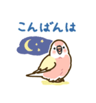 アキクサインコLINEスタンプ ルチノー（個別スタンプ：3）