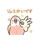 アキクサインコLINEスタンプ ルチノー（個別スタンプ：6）