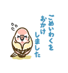 アキクサインコLINEスタンプ ルチノー（個別スタンプ：10）