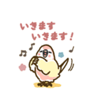 アキクサインコLINEスタンプ ルチノー（個別スタンプ：13）