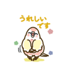 アキクサインコLINEスタンプ ルチノー（個別スタンプ：15）