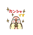 アキクサインコLINEスタンプ ルチノー（個別スタンプ：16）