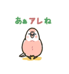 アキクサインコLINEスタンプ ルチノー（個別スタンプ：24）