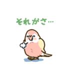 アキクサインコLINEスタンプ ルチノー（個別スタンプ：29）