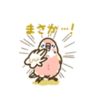 アキクサインコLINEスタンプ ルチノー（個別スタンプ：30）