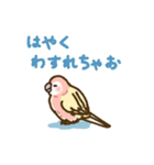 アキクサインコLINEスタンプ ルチノー（個別スタンプ：32）