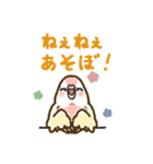 アキクサインコLINEスタンプ ルチノー（個別スタンプ：33）