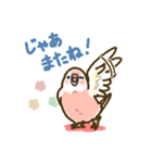 アキクサインコLINEスタンプ ルチノー（個別スタンプ：39）