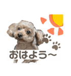 いぬのハッピースタンプ♡（個別スタンプ：2）