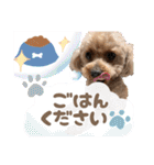 いぬのハッピースタンプ♡（個別スタンプ：8）