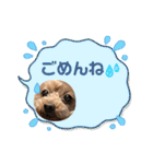 いぬのハッピースタンプ♡（個別スタンプ：9）