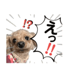 いぬのハッピースタンプ♡（個別スタンプ：14）