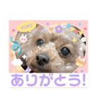 いぬのハッピースタンプ♡（個別スタンプ：18）