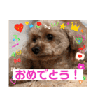 いぬのハッピースタンプ♡（個別スタンプ：23）
