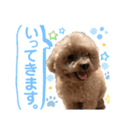 いぬのハッピースタンプ♡（個別スタンプ：27）