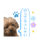 いぬのハッピースタンプ♡（個別スタンプ：28）