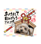 いぬのハッピースタンプ♡（個別スタンプ：40）