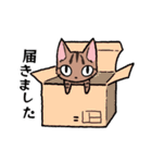 きじとらりんスタンプ（個別スタンプ：1）