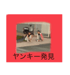 はいはいあんたが大黒柱（個別スタンプ：5）