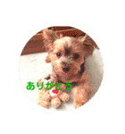 ディナの気持ち（個別スタンプ：9）