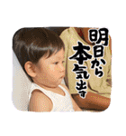 sakumaru02（個別スタンプ：40）