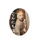 山本ファーム♪（個別スタンプ：2）