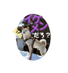 山本ファーム♪（個別スタンプ：5）