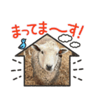 山本ファーム♪（個別スタンプ：15）