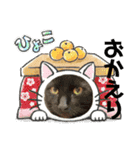 山本ファーム♪（個別スタンプ：17）