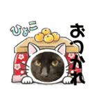 山本ファーム♪（個別スタンプ：19）